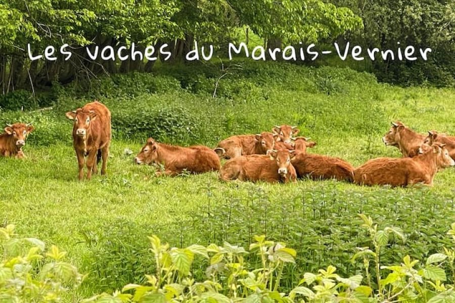 Suíte Paraíso” >PISCINAaquecida29graus>JACUZZI