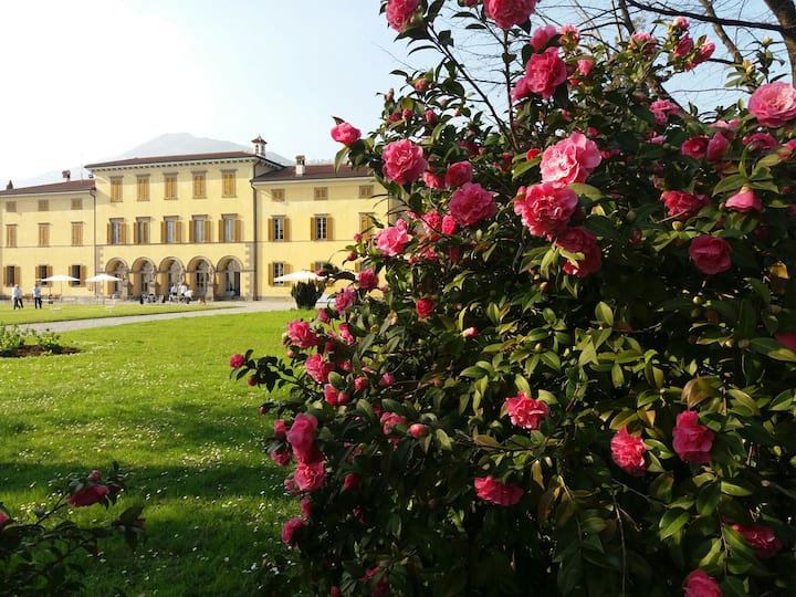 Villa Vitalba-1700 casa e vinícola a 1h de Milão