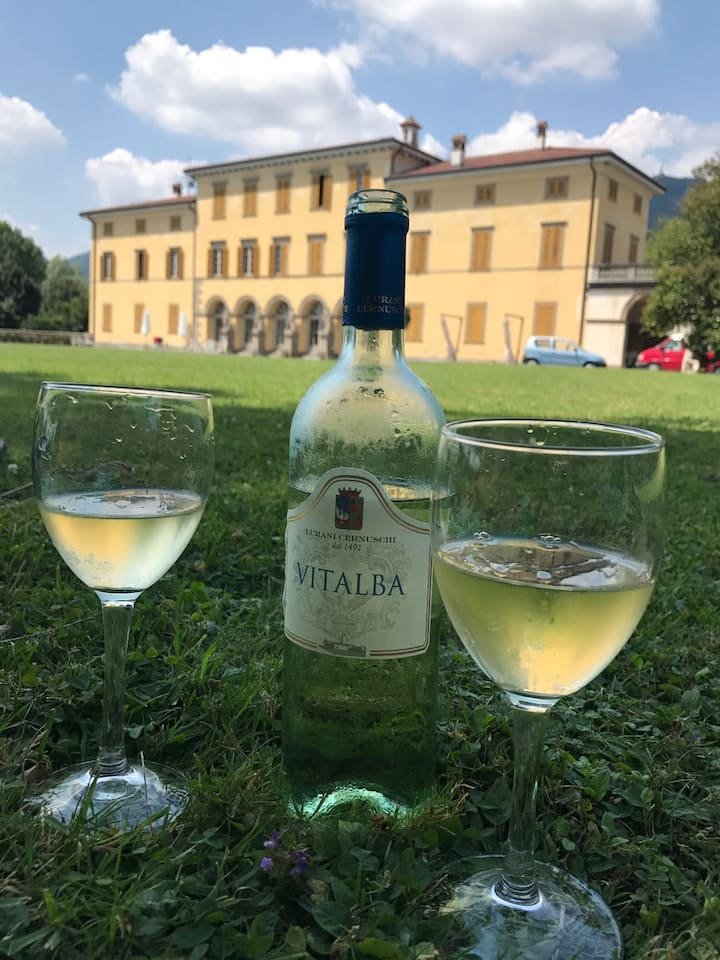 Villa Vitalba-1700 casa e vinícola a 1h de Milão