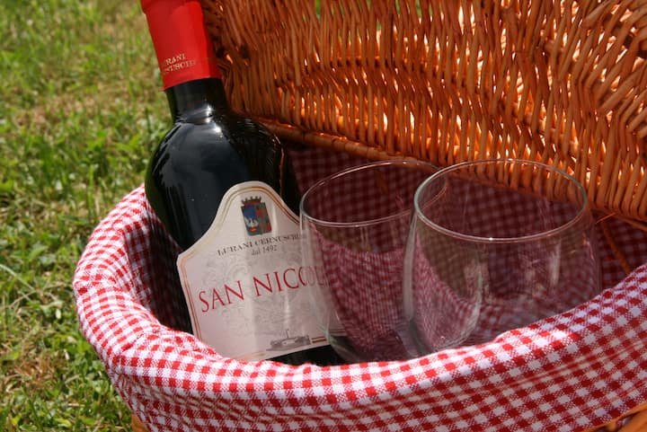 Villa Vitalba-1700 casa e vinícola a 1h de Milão