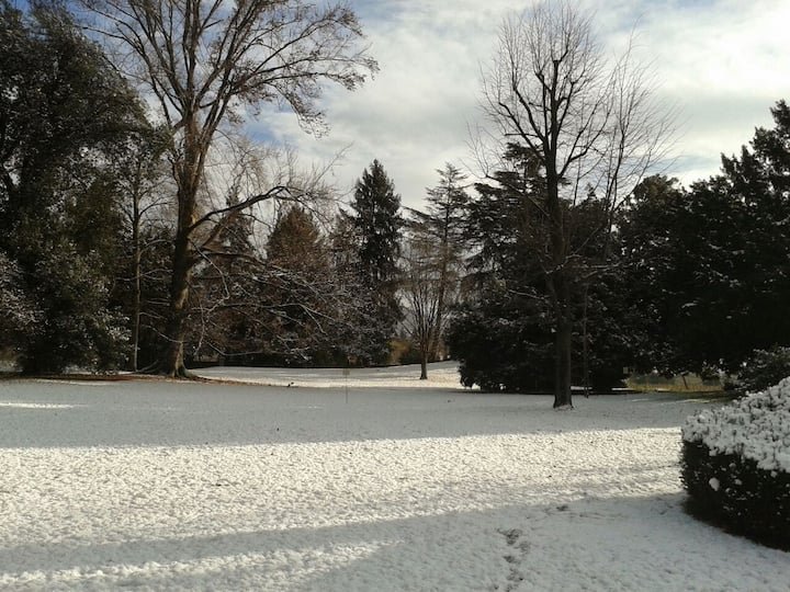 Villa Vitalba-1700 casa e vinícola a 1h de Milão