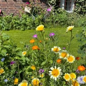 Espaço inteiro: apartamento em Berlim, Alemanha