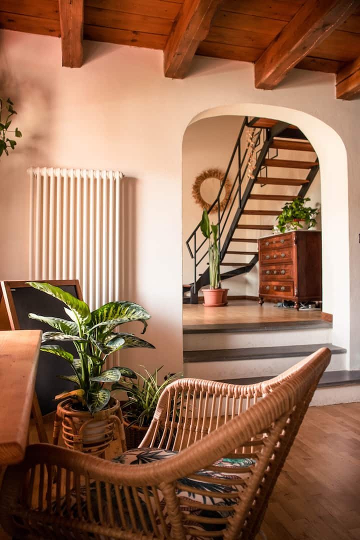 Jardim Social — Quarto Compartilhado