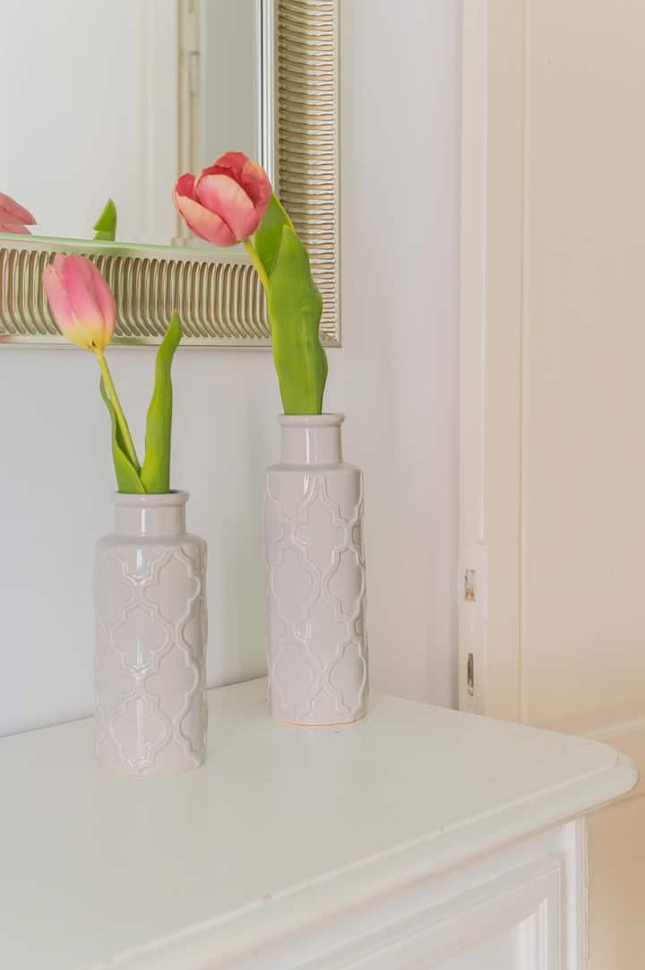 Maison Rinascimento Roma