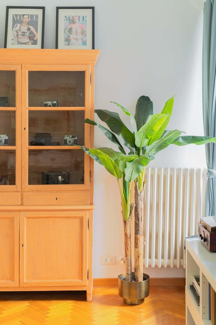 Maison Rinascimento Roma