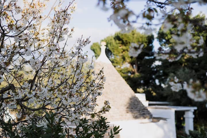 I casedd trulli com piscina