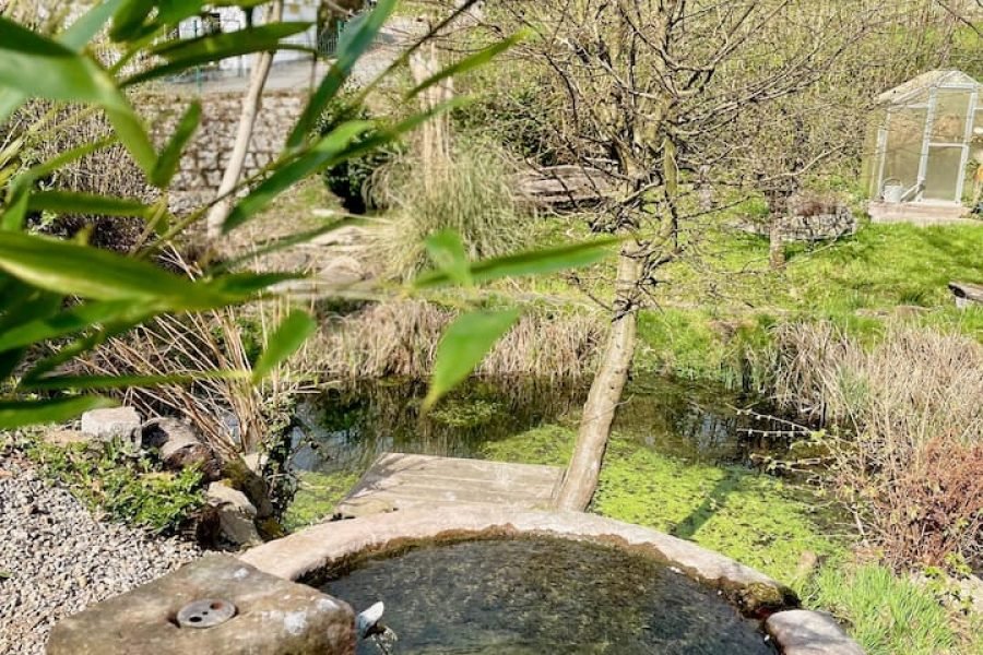 Telhado aconchegante – com terraço