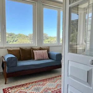 O Campo na Vila N°1