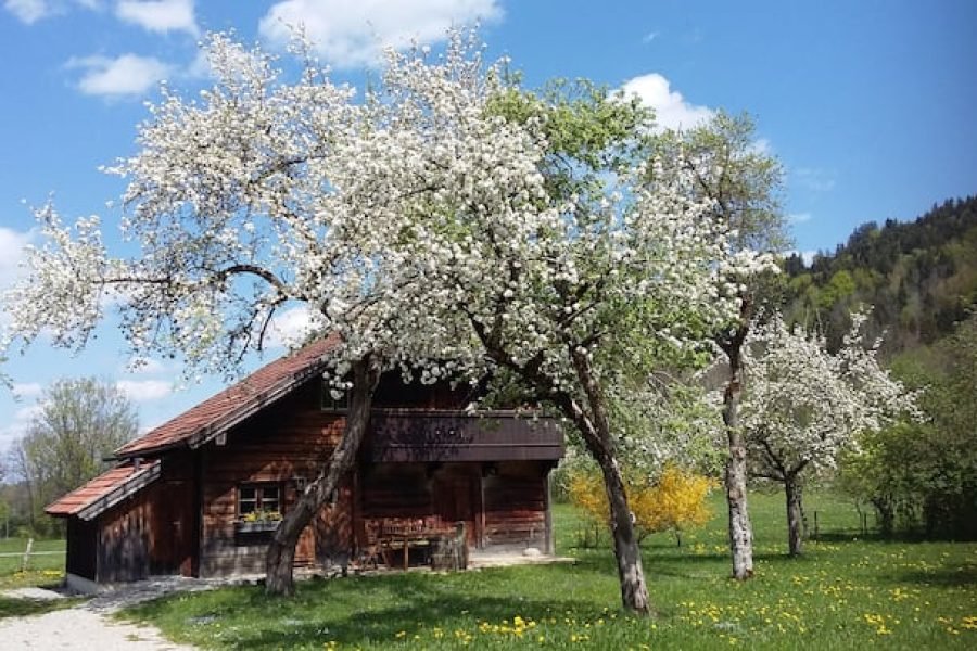 Casa de madeira isolada em local muito tranquilo