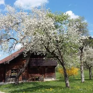 Casa de madeira isolada em local muito tranquilo