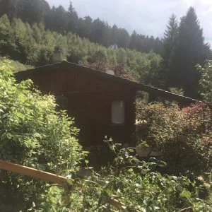 Casa de hóspedes da família Waldkauz no meio da floresta