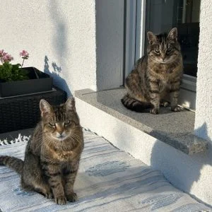 Apartamento aconchegante de 55 m ² perto de Spessart em Johannesberg