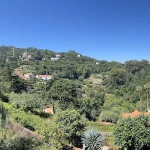 O Campo na Vila N°1